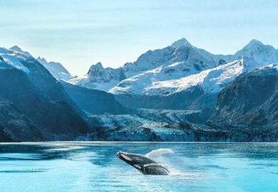 Rockies Lake and Mountains Glacier Bay National Park