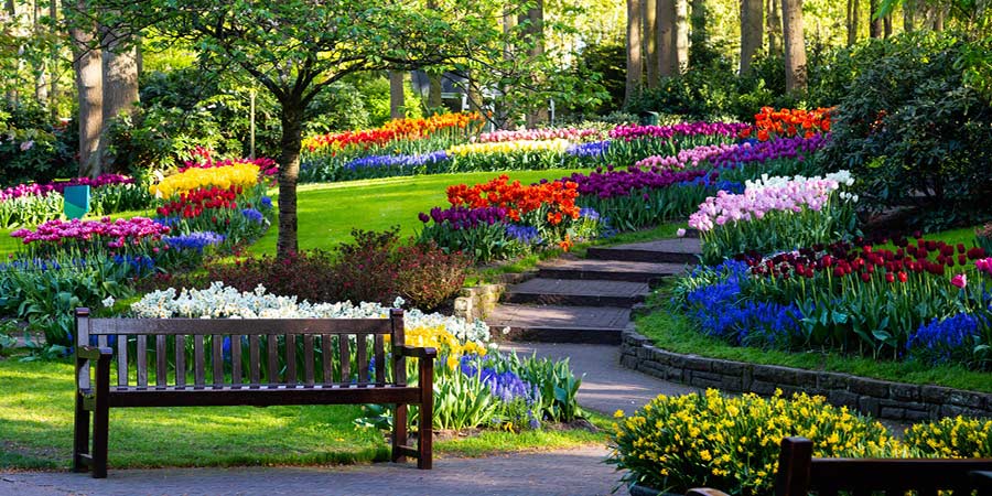 Admiring spring blooms at Keukenhof Gardens