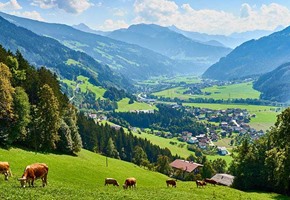Alpbach Valley