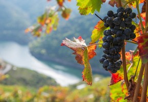 Parador de San Esteban